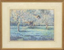 G. Norman-Crosse (early 20th century), View of an Orchard in blossom