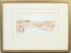 19th century Continental school, a pen and ink study of a Vineyard,