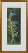 A limited edition Martin Rumary print of two Kingfishers,