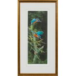 A limited edition Martin Rumary print of two Kingfishers,