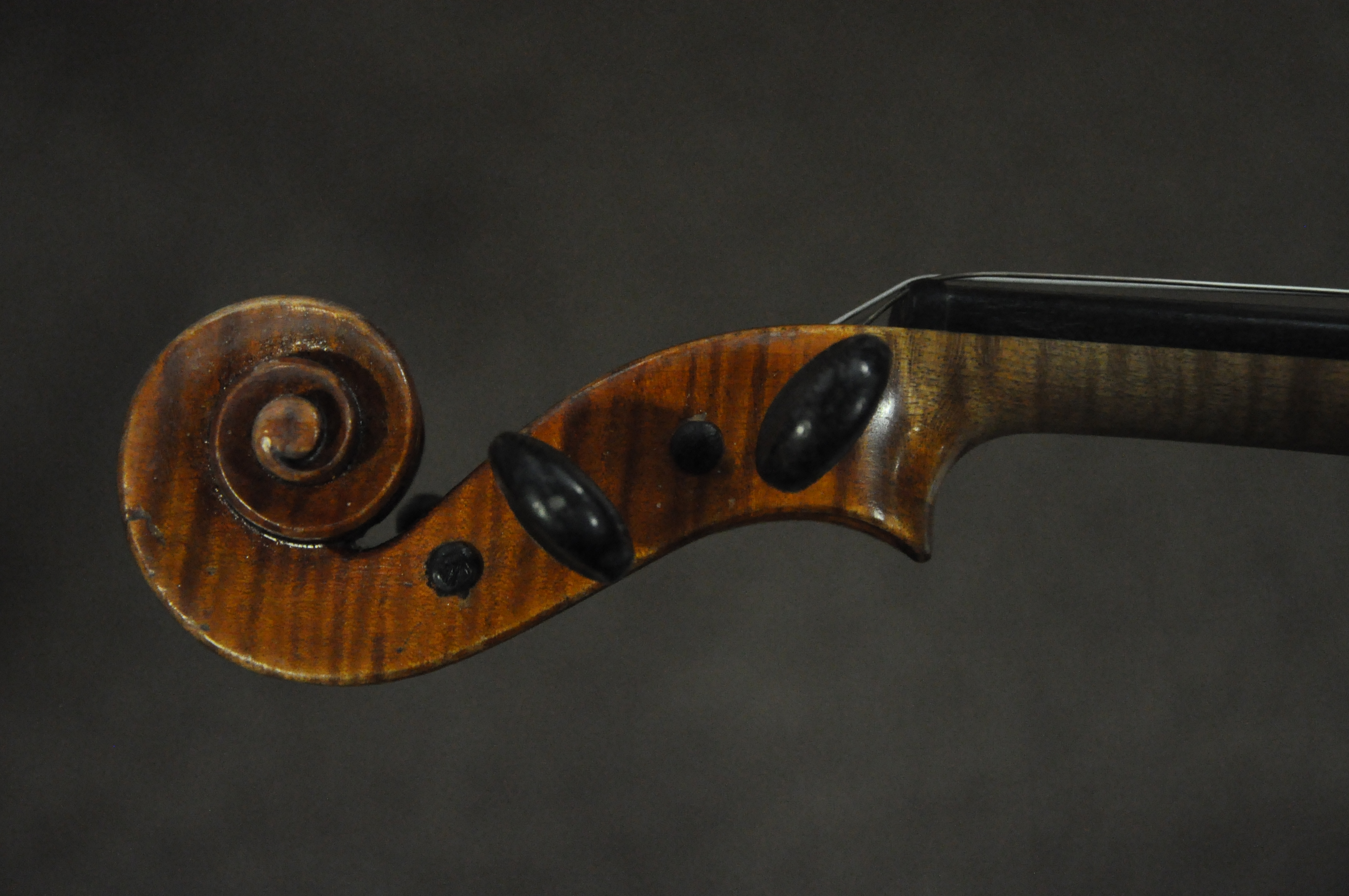 A Garrodus violin with bow in case. Measures; 58cm. - Image 13 of 15