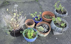 A collection of eight assorted flower pots,