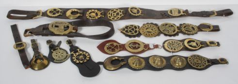 A late 19th century leather Martingale with seven horse brasses,