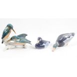 Two Royal Copenhagen porcelain models of ducks and a Karl Ens model of Kingfishers,