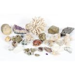 A collection of specimen minerals, rocks and coral, including pyrite,