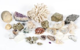 A collection of specimen minerals, rocks and coral, including pyrite,