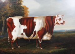 Provincial school, oil on board, A Bull in a Landscape, monogrammed SH to lower right,