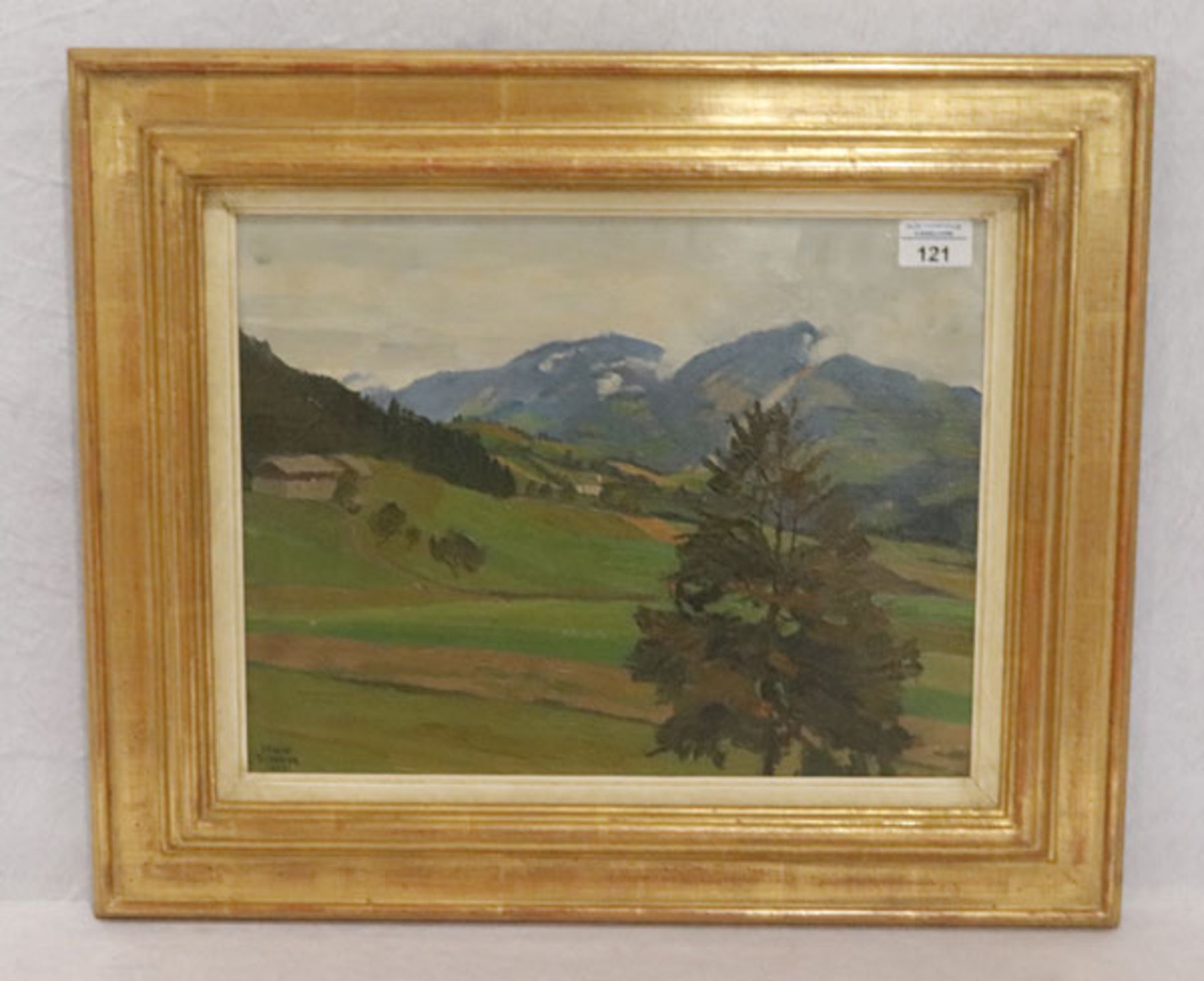 Gemälde ÖL/LW 'Gebirgslandschaft', signiert Erwin Steiner, datiert 1924, *1893 München + 1953