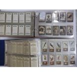 Two plastic folders containing cigarette cards including approximately 75 pre-WWI, Ogdens etc.