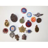 17 various military pin badges.