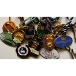 HORSE RACING - SMALL COLLECTION OF 12 BADGES