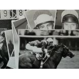 HORSE RACING - COLLECTION OF ORIGINAL PRESS PHOTOGRAPHS X 14