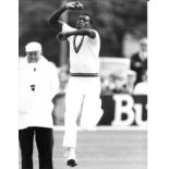 CRICKET ORIGINAL PRESS PHOTO OF CURTLEY AMBROSEPLAYING FOR THE WEST INDIES