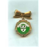 CRICKET - WORCESTERSHIRE VINTAGE SUPPORTERS ASSOCIATION GILT BADGE