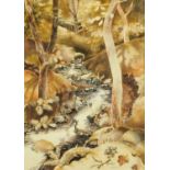 Ruth Davey, stream in sun and shadow, signed and dated '83, watercolour, 37 cm x 26.5 cm.