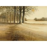 Kathleen Caddick (British 1937), "Edge of the Wood", limited edition engraving 245/250, signed,