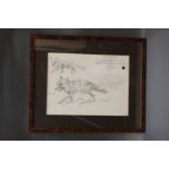 Michael Lyne (1912-1989), pencil study of foxes, unsigned, with Certificate of Authenticity,