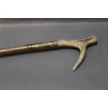 Hazel shaft walking stick, stag antler handle. 121 cm.