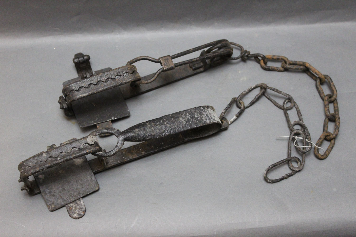 Two vintage gin traps, 26 cm and 30 cm.