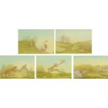Five watercolours, fox and pheasant scenes. Each 13 cm x 18 cm, framed, signed with initials.