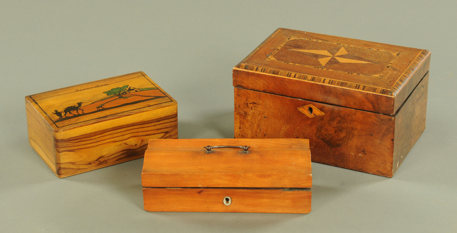 A 19th century satinwood dressing table box with serpentine top,