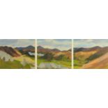 Alison Critchlow, oil on three boards "Borrowdale Triptych" each 25 cm x 28 cm, framed,