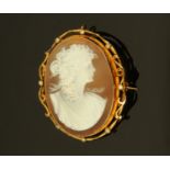 A 9 ct gold shell cameo brooch.