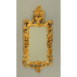 A carved and gilt wood framed mirror, in the Rococo style with plume to the head.