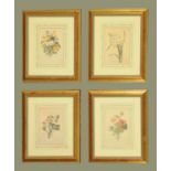 Four PJ Redoute floral study prints, each 19 cm x 13 cm, framed.