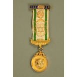 A 9 ct gold RAOB medallion with ribbon and enamelled treasurer bar, medallion weight only 15.