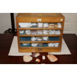 Flight of drawers, containing various shells,