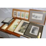 A framed set of six Patience Arnold floral botanical watercolour studies in a modern Beechwood