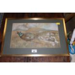 Hugh Shuttleworth coloured pencil and gouache study of a pheasant, 20 cm x 35 cm,