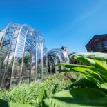 Bombay Sapphire Distillery Tour + extras - A must for any gin lovers! A guided tour and Cocktail