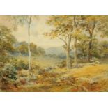 Joseph Powell (1780-1834), watercolour, "A Wood Near Dorning", 25 cm x 35 cm, framed, signed.