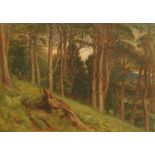 Charles Raymond Aston, watercolour, forest scene with deer. 43 cm x 61 cm.