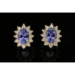 A pair of 18 ct white gold stud earrings, set with oval cut tanzanites to diamond halo,