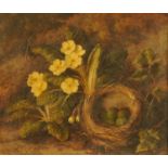 Frederick Stanier, oil on canvas, still life of birds nest with primrose. 30 cm x 35 cm.