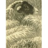 Alan Stones, limited edition etching, "Swaledale" (III), 74/150.