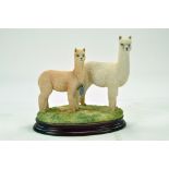 Border Fine Arts Presentation Piece 'Hembra and Cria' comprising Alpaca duo. Superb piece.