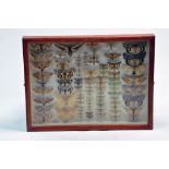 Taxidermy: An impressive wooden glass display of mounted moths, suggsted early 20th century.