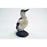 Taxidermy: An early 21st century example of a Guillemot (Uria aalge) mounted on a rock based plinth.