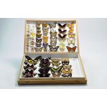 Taxidermy: An impressive (watkins) cased display of mounted tropical butterflies, Circa 20th