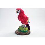 Taxidermy: An example of a mock up parrot mounted on a scenic plinth. Presented and studied by local