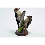 Taxidermy: An early 21st century example of a duo of lesser spotted woodpeckers (Dendrocopos