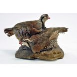 Taxidermy: An early 21st century example of a pair of French Partridge (Alectoris rufa) mounted on a
