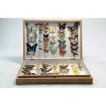 Taxidermy: An impressive (watkins) cased display of mounted tropical butterflies with labels.