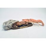 Taxidermy: An early 21st century example of an unmounted Lobster and mounted Crab on scenic