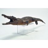 Taxidermy: An early 20th Century example of an Alligator. Missing Foot. Measures 1.05 M Long from