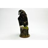 Taxidermy: An early 21st century example of a Raven (Corvus corax) mounted on a scenic plinth.